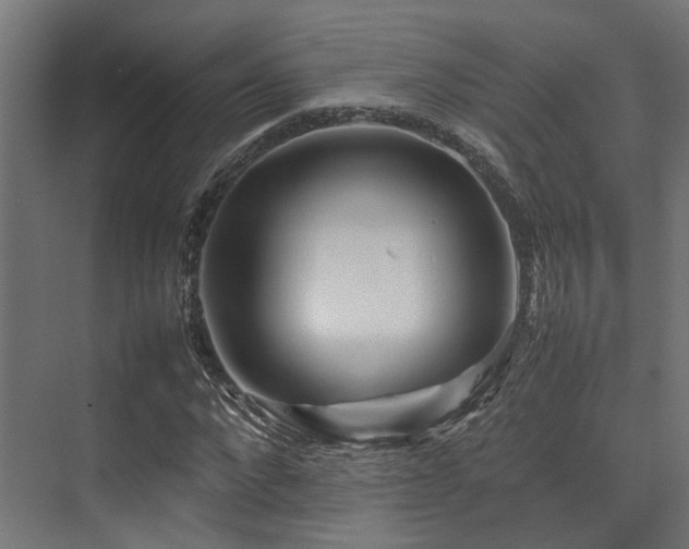 X0000074290872200608251342