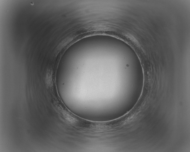 X0000074290873200608251342