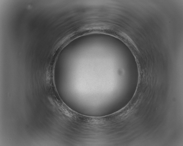 X0000074290874200608251341