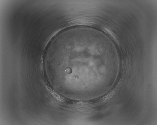 X0000074290875200608251341