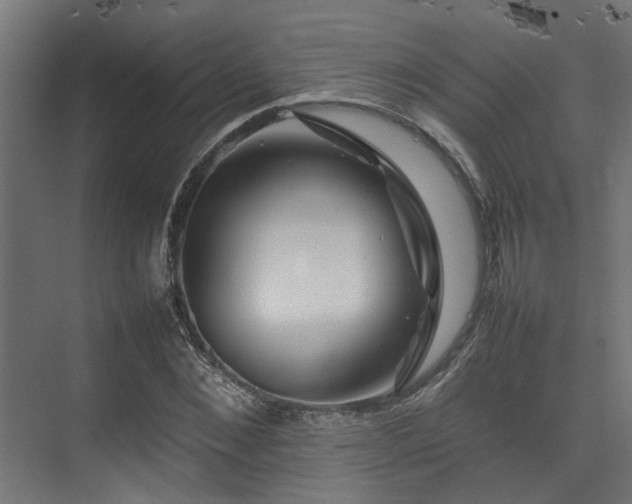 X0000074290876200608251341