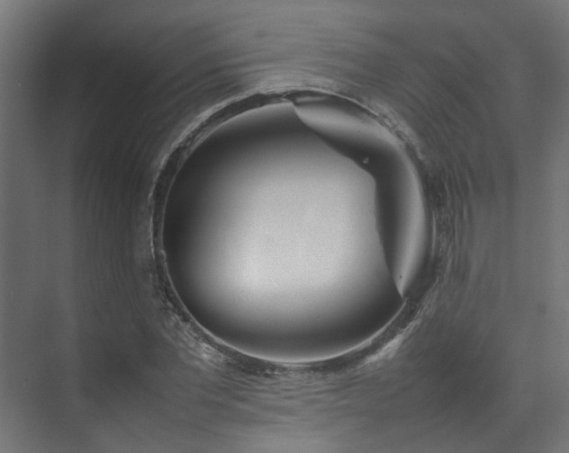 X0000074290877200608251341