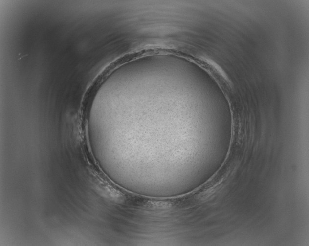 X0000074290878200608251341