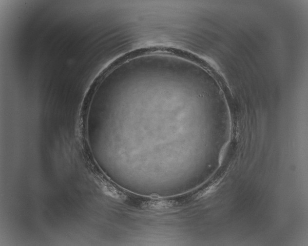 X0000074290879200608251341