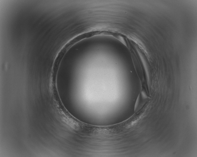 X0000074290880200608251341