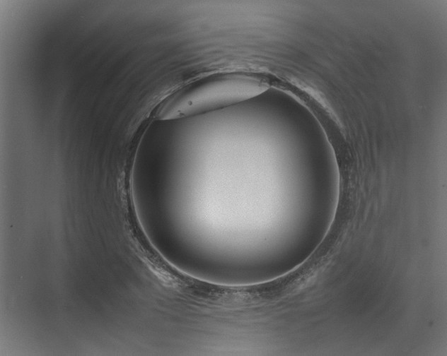 X0000074290881200608251341