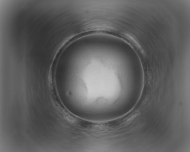 X0000074290883200608251341