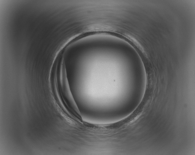 X0000074290885200608251341