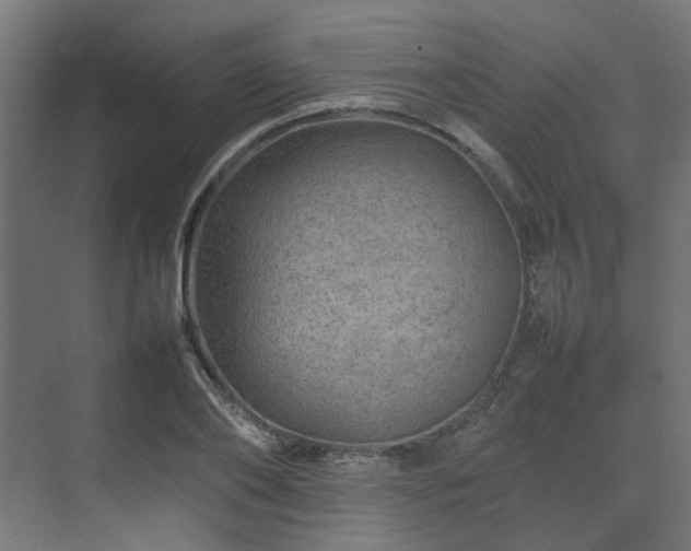 X0000074290886200608251341