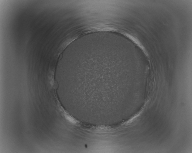 X0000074290889200608251341