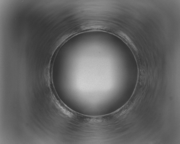 X0000074290890200608251341