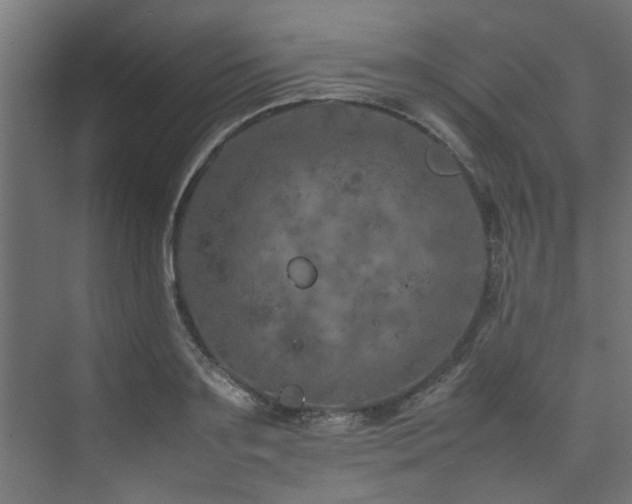 X0000074290891200608251341