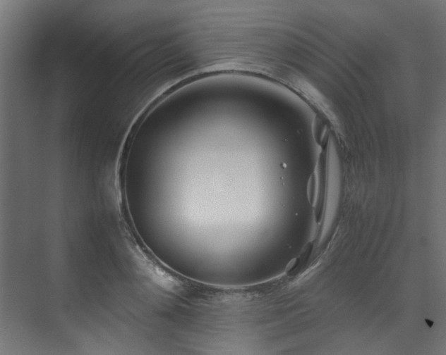 X0000074290892200608251341