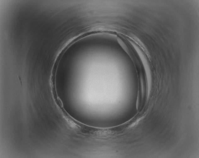 X0000074290893200608251341