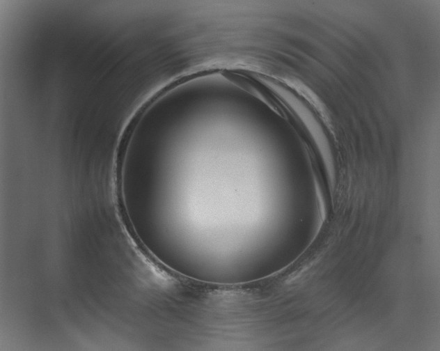 X0000074290894200608251341