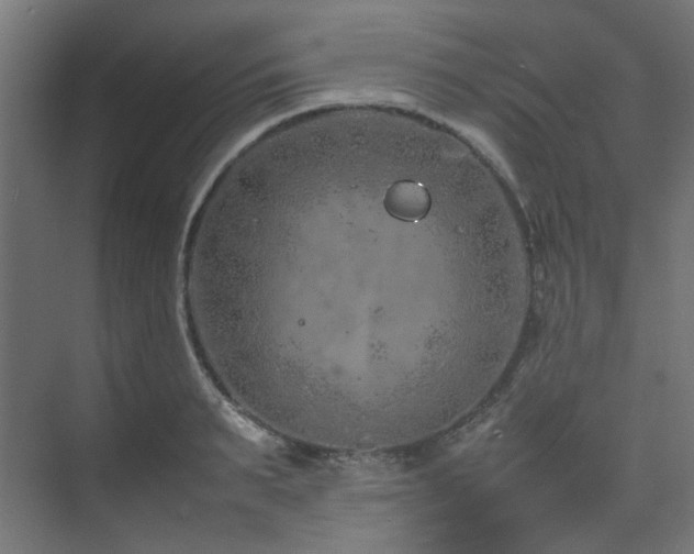 X0000074290895200608251341