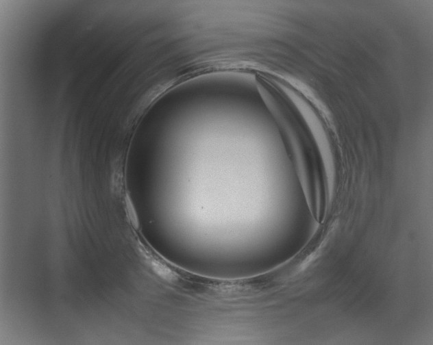 X0000074290897200608251341