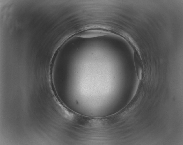 X0000074290898200608251341