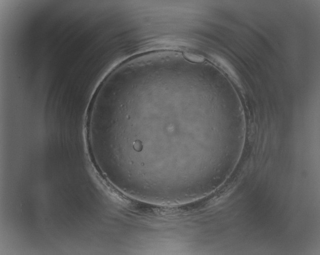 X0000074290899200608251341