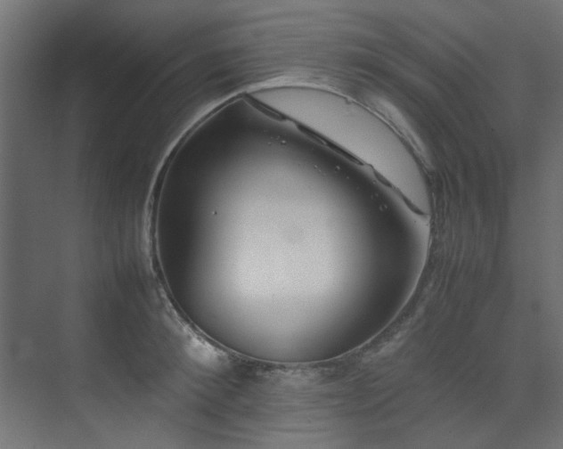 X0000074290900200608251341