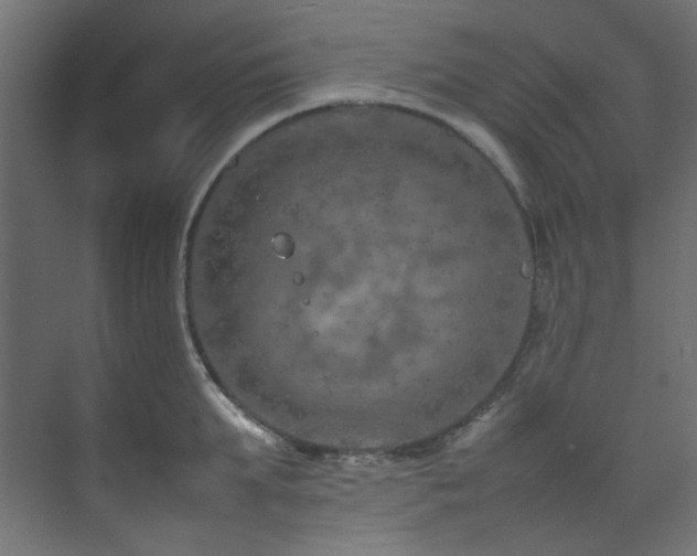 X0000074290903200608251341