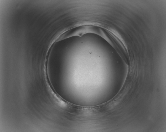 X0000074290906200608251341