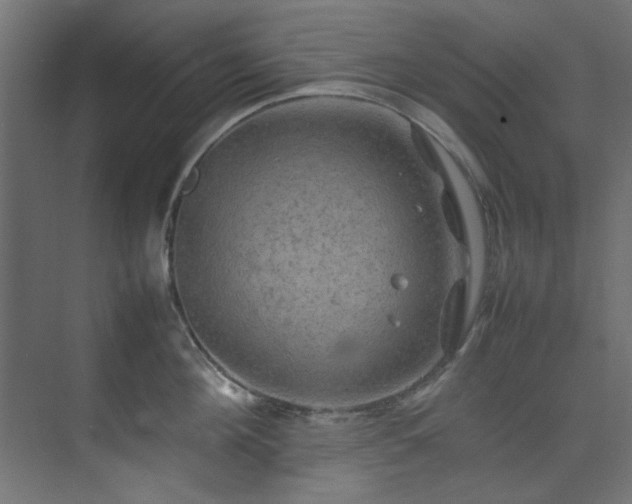 X0000074290908200608251341