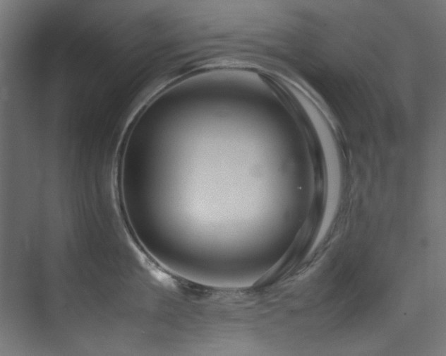 X0000074290909200608251341