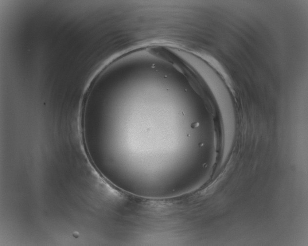 X0000074290910200608251341