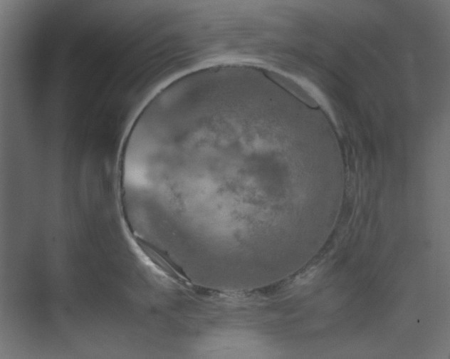 X0000074290911200608251341