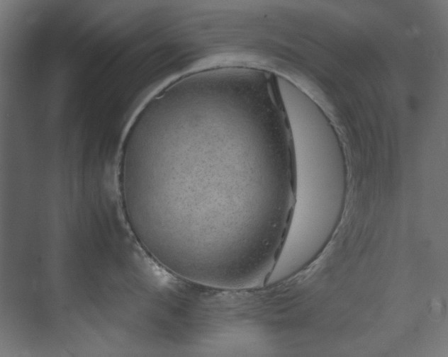 X0000074290912200608251341