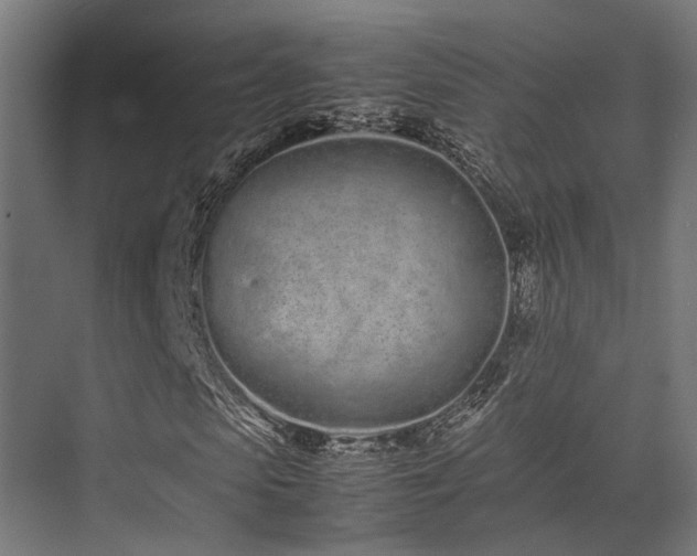 X0000074290913200608251340