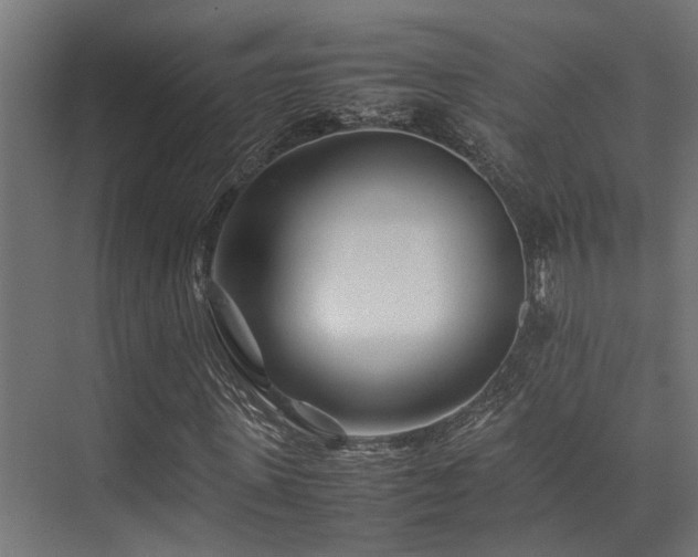 X0000074290915200608251340