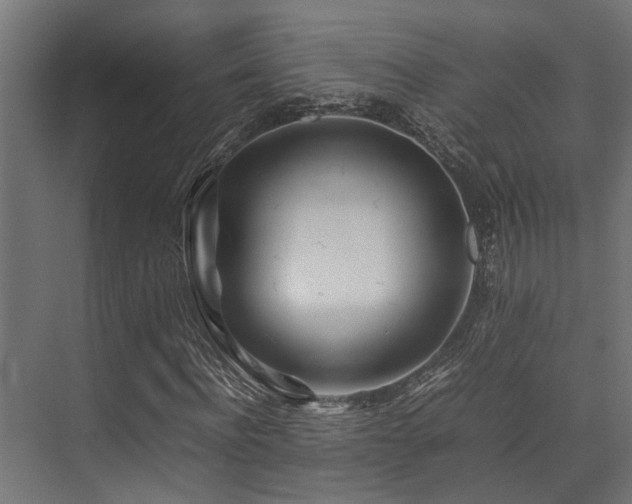 X0000074290916200608251340