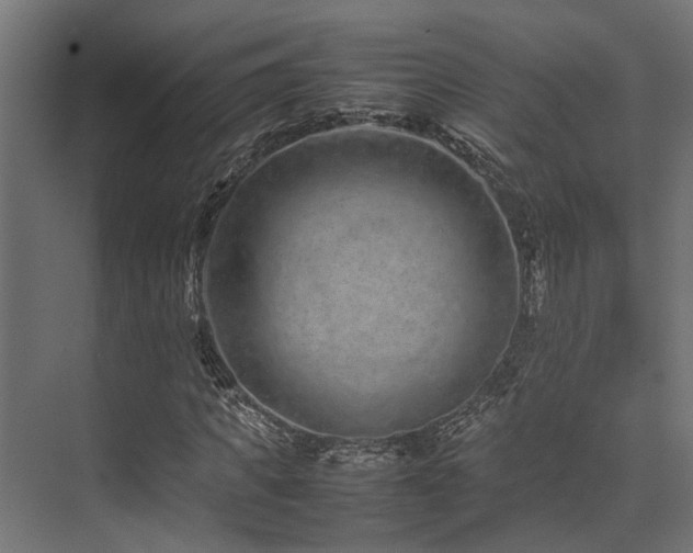 X0000074290917200608251340