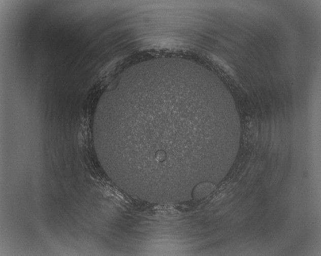 X0000074290918200608251340