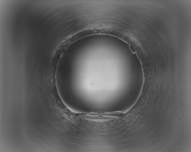 X0000074290920200608251340