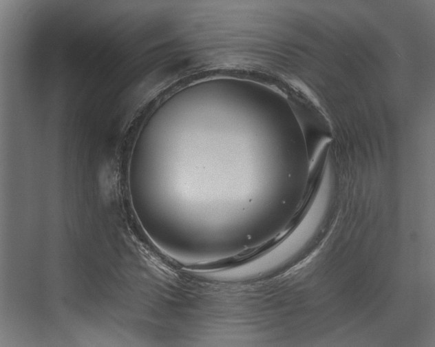 X0000074290922200608251340