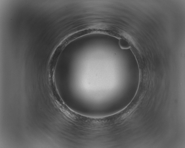 X0000074290923200608251340