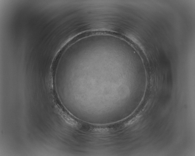 X0000074290925200608251340