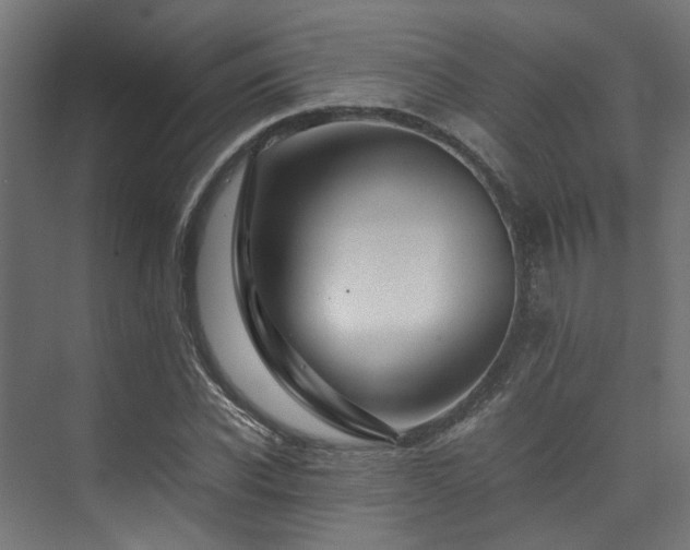 X0000074290926200608251340