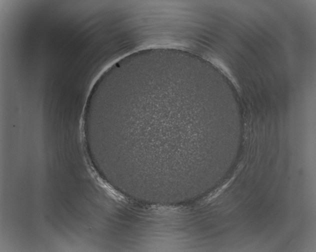 X0000074290928200608251340