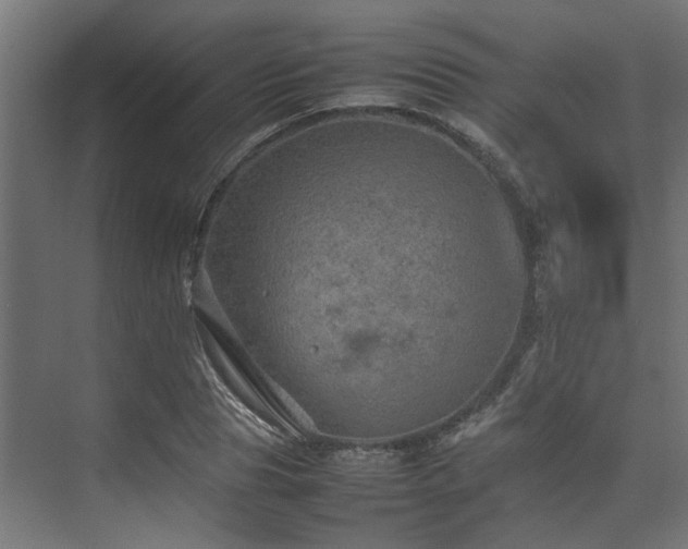 X0000074290929200608251340