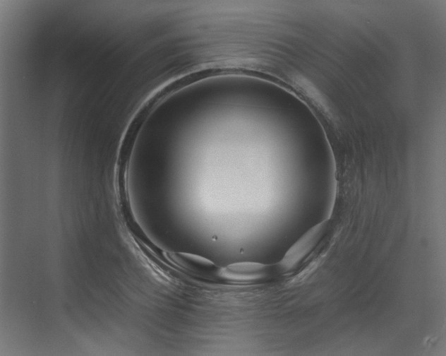 X0000074290932200608251340