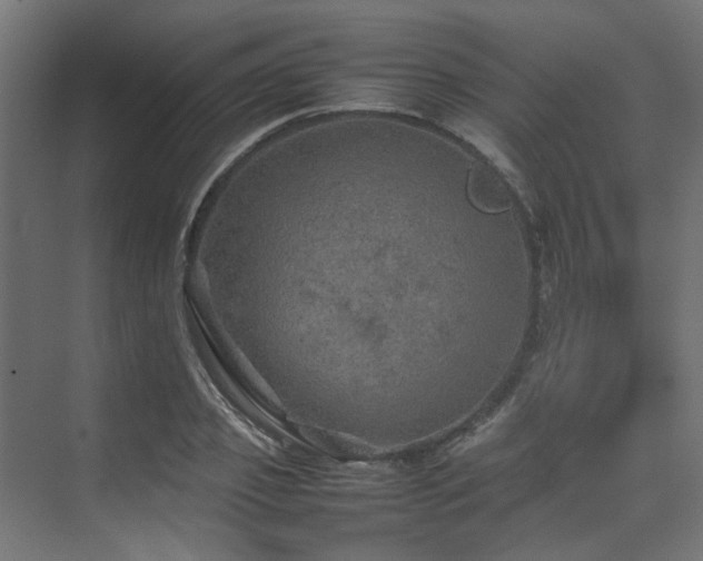 X0000074290933200608251340