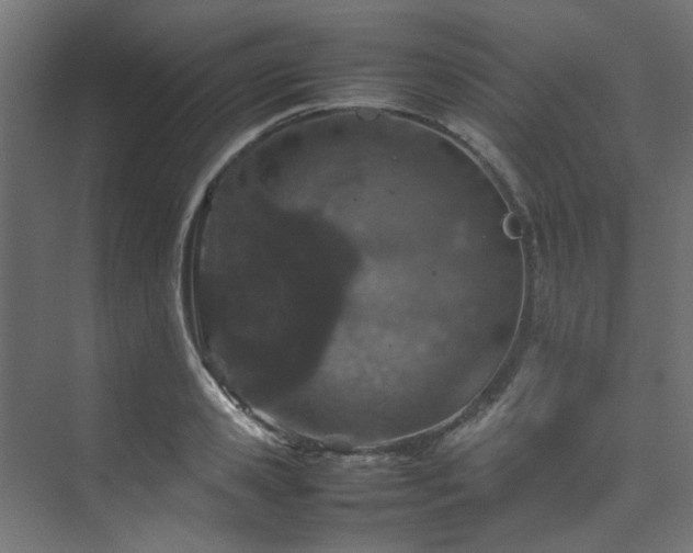 X0000074290941200608251341