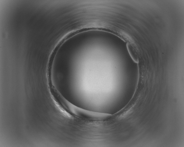 X0000074290942200608251341