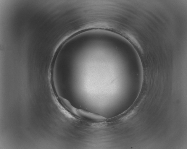 X0000074290944200608251341