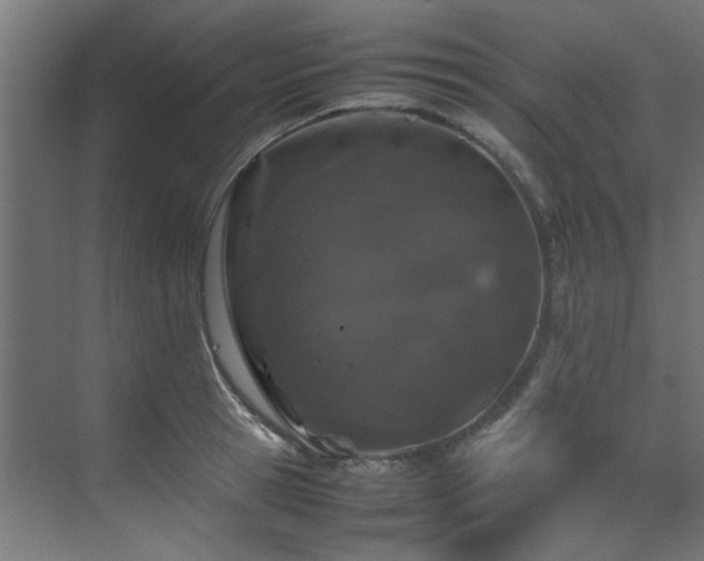 X0000074290945200608251341