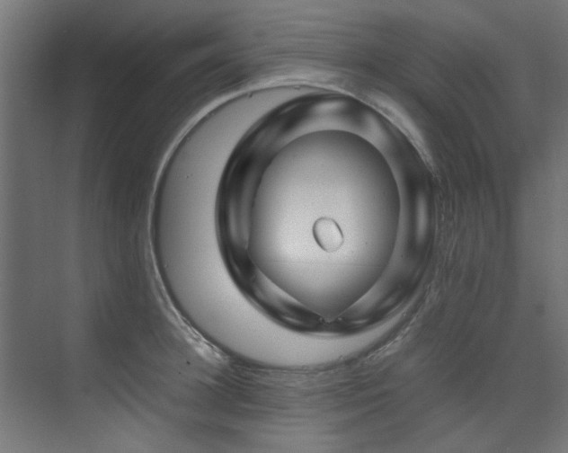 X0000074290948200608251341